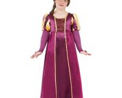 Tudor Girl Costume-0